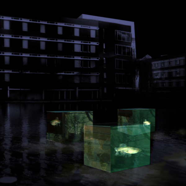 AXA Art Prize „Schwimmende Lichtobjekte“ project mockup at night